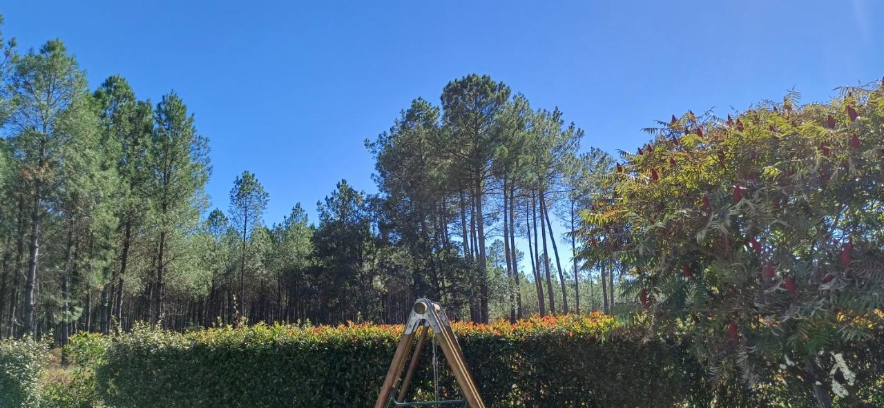 L'Atelier D'Adrien Διαμέρισμα Lesgor Εξωτερικό φωτογραφία